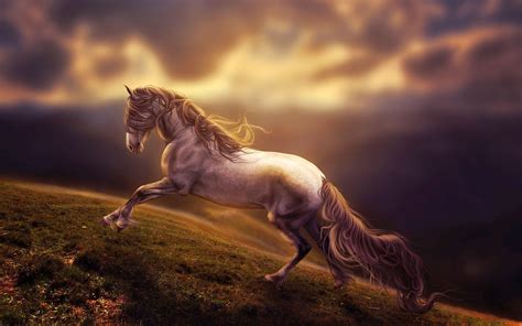 wallpaper horse pictures|4K Horse Wallpapers .